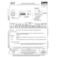 AIA NASM51871:2016