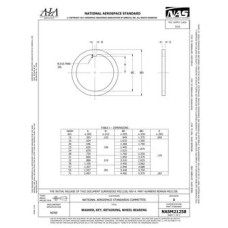 AIA NASM21258:2022