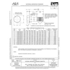 AIA NASM21095 AIA NASM21095
