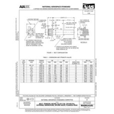 AIA NASM14181:2021 AIA NASM14181:2021