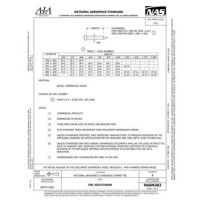 AIA NASM302:2020 AIA NASM302:2020