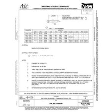 AIA NASM302:2020 AIA NASM302:2020