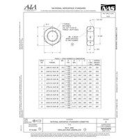 AIA NAS509 AIA NAS509