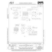 AIA NASM21209 AIA NASM21209