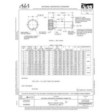 AIA NASM8906/2 AIA NASM8906/2