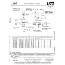 AIA NASM17731 AIA NASM17731
