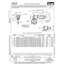 AIA NASM17985 AIA NASM17985