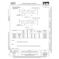 AIA NAS1387:2022