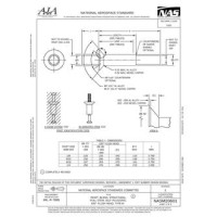 AIA NASM20601 AIA NASM20601