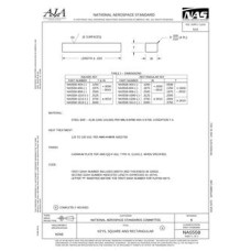 AIA NAS558