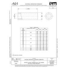 AIA NAS61 AIA NAS61