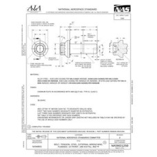 AIA NASM21250 AIA NASM21250