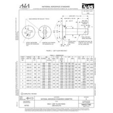 AIA NAS1790 AIA NAS1790