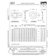 AIA NASM21299 AIA NASM21299
