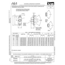 AIA NASM21077 AIA NASM21077