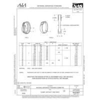 AIA NAS397 AIA NAS397