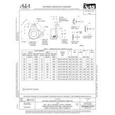 AIA NASM21074 AIA NASM21074