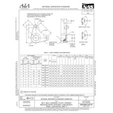 AIA NASM21073 AIA NASM21073