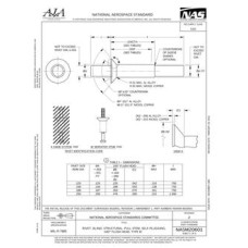 AIA NASM20601