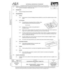 AIA NAS3405