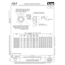 AIA NAS1291 AIA NAS1291
