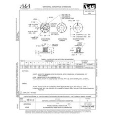 AIA NASM21383 AIA NASM21383