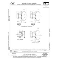 AIA NASM21045 AIA NASM21045