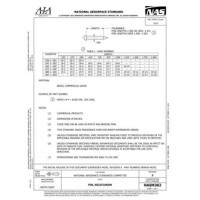 AIA NASM302 AIA NASM302