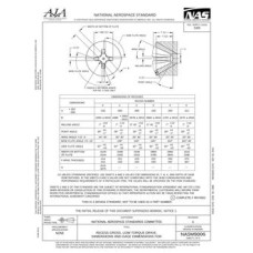 AIA NASM9006 AIA NASM9006