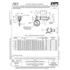 AIA NASM17985 AIA NASM17985