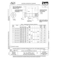 AIA NASM21097 AIA NASM21097