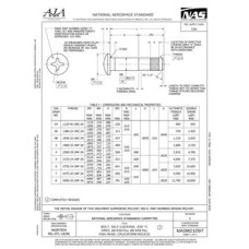AIA NASM21097 AIA NASM21097