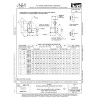 AIA NASM21081