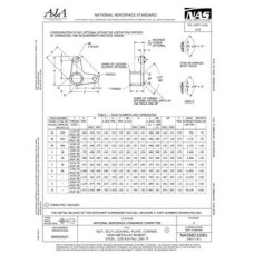 AIA NASM21081 AIA NASM21081