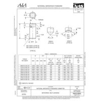 AIA NAS1081 AIA NAS1081
