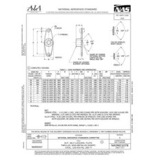 AIA NASM21078 AIA NASM21078