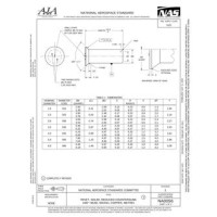 AIA NA0056:2020