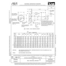 AIA NASM3-20 AIA NASM3-20