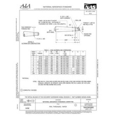 AIA NASM386 AIA NASM386