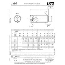 AIA NASM51029 AIA NASM51029