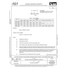 AIA NASM302 AIA NASM302