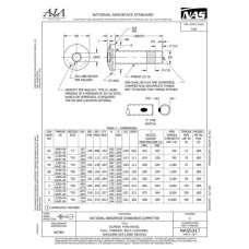 AIA NAS5317