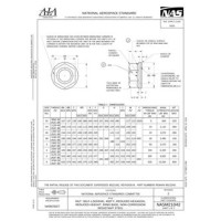 AIA NASM21042:2018 AIA NASM21042:2018