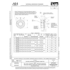 AIA NASM21042:2018 AIA NASM21042:2018