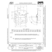 AIA NASM35793:2020 AIA NASM35793:2020