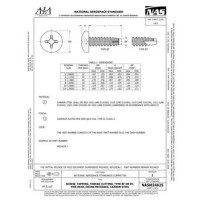 AIA NASM24625:2021 AIA NASM24625:2021