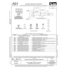 AIA NASM20604 AIA NASM20604