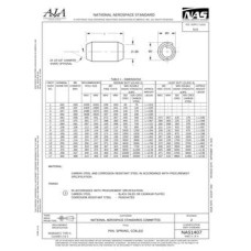 AIA NAS1407