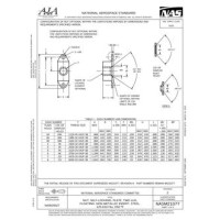 AIA NASM21077 AIA NASM21077
