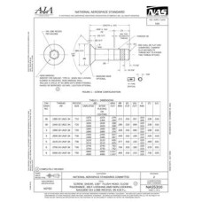 AIA NAS5316